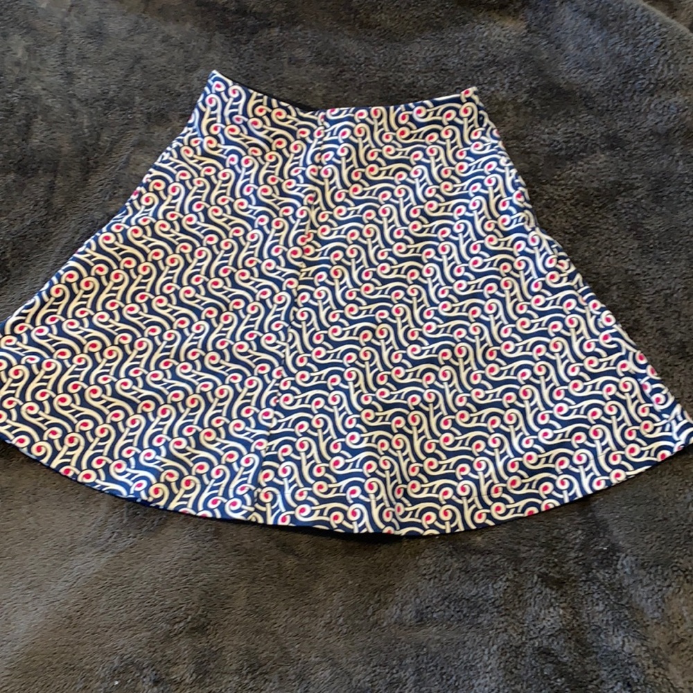 Beautiful Pleated Skirt